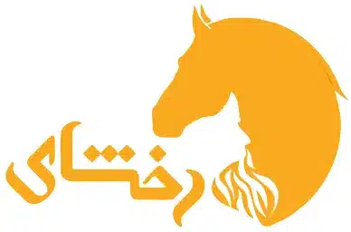 هوش مصنوعی برای نوشتن پایان نامه فارسی Rakhshai
