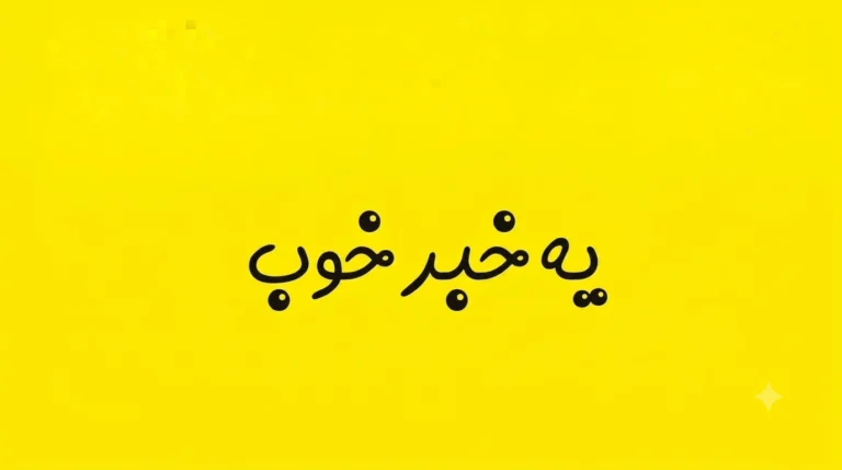 معرفی دستیار پژوهشی پیدا